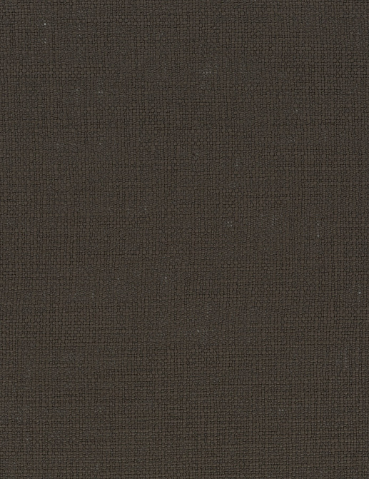 Ткань Chivasso Carlucci di Chivasso Observer CA1652/020