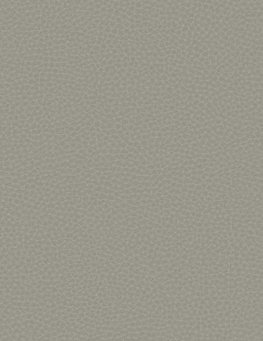 Обои Carl Robinson Edition 17 - Loft CR83008