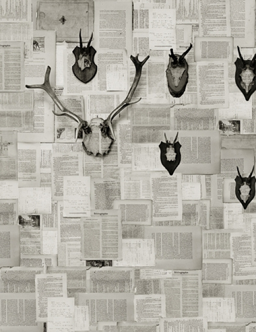 Панно и фотообои Wall & Deco 2015 WDAL1502