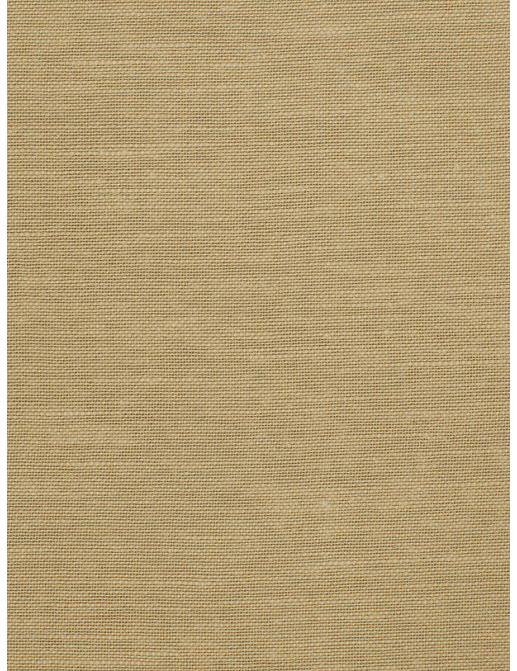 Ткань Trend Lemon Zest Cashew Prints & Wovens Vol.III 02626/Sesame