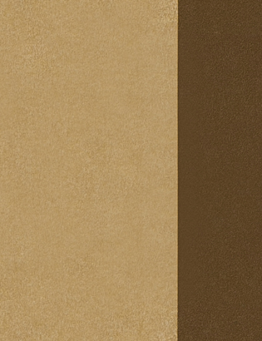 Обои Aquarelle Ornella V6380-5