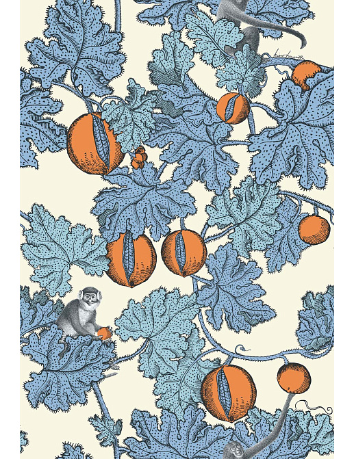 Обои Cole & Son Fornasetti Senza Tempo 114/1003