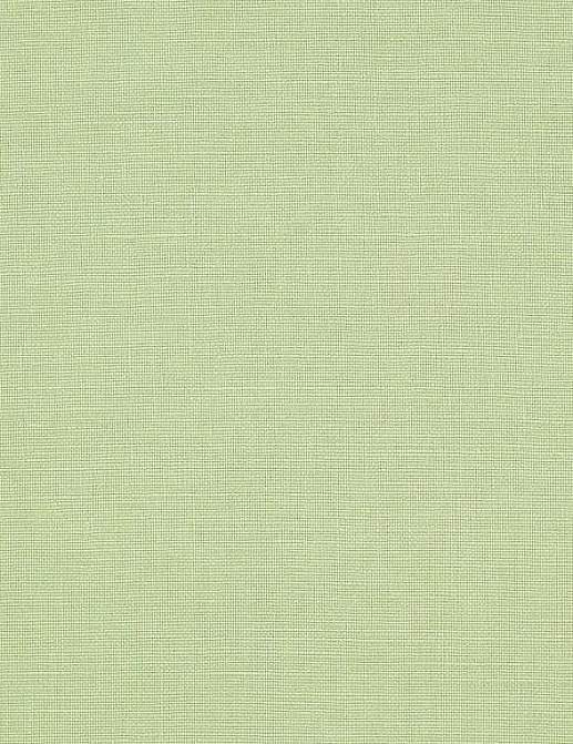 Ткань Colefax and Fowler Foss Linen 2 F4218/69