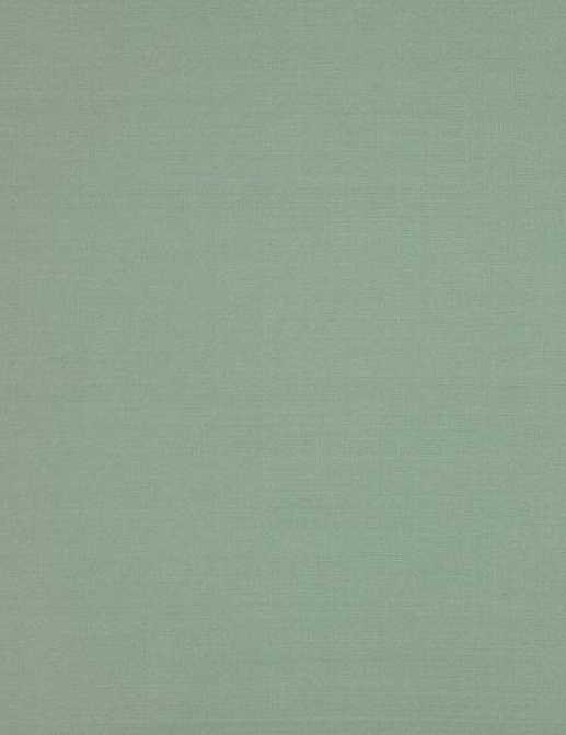Ткань Colefax and Fowler Slucerne Silks F3931/73
