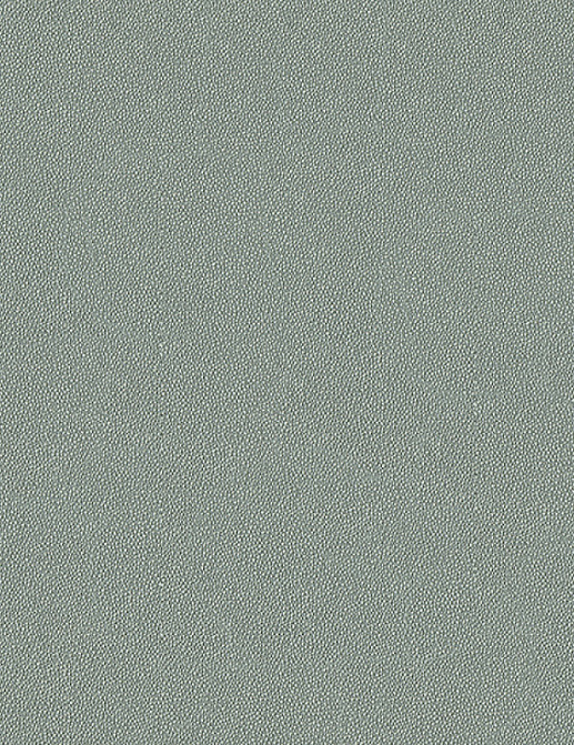 Обои A. S. Creation Speranza 95615-6