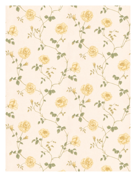Обои Sanderson Wallpapers from a Painters Garden DAPGRO102