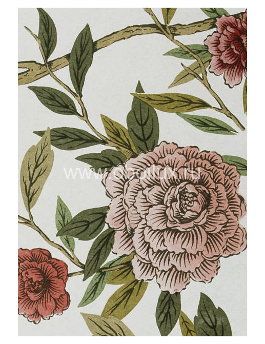 Обои Lewis & Wood Wide Width Wallpapers LW14545/China Rose Redoute