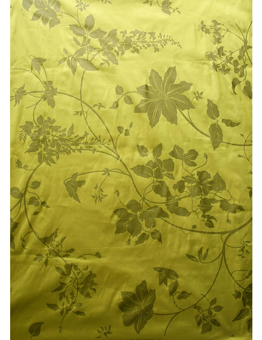 Ткань Nina Campbell Giverny NCF3883-01