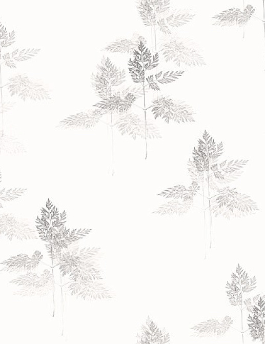 Обои Collection For Walls Northern Feelings 204101