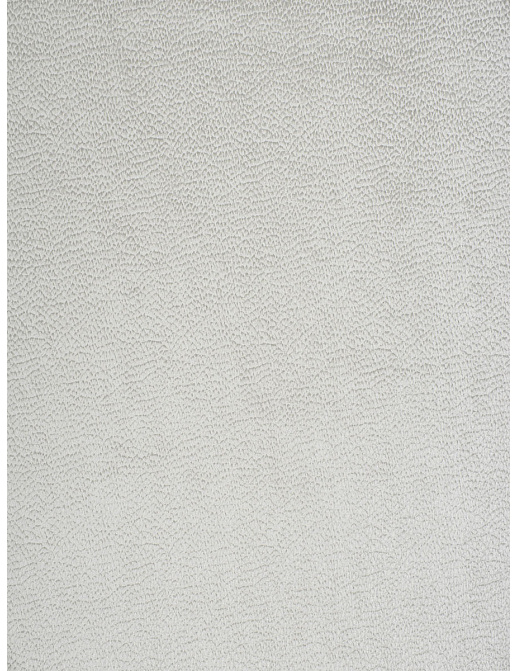 Ткань Trend Stone-Cloud Prints & Wovens Vol.VIII 04389/White