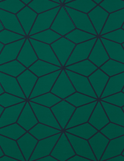 Ткань Harlequin Momentum 10 132777