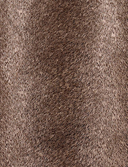 Обои Innovations Collection Caballo CAB-105 CRIOLLO