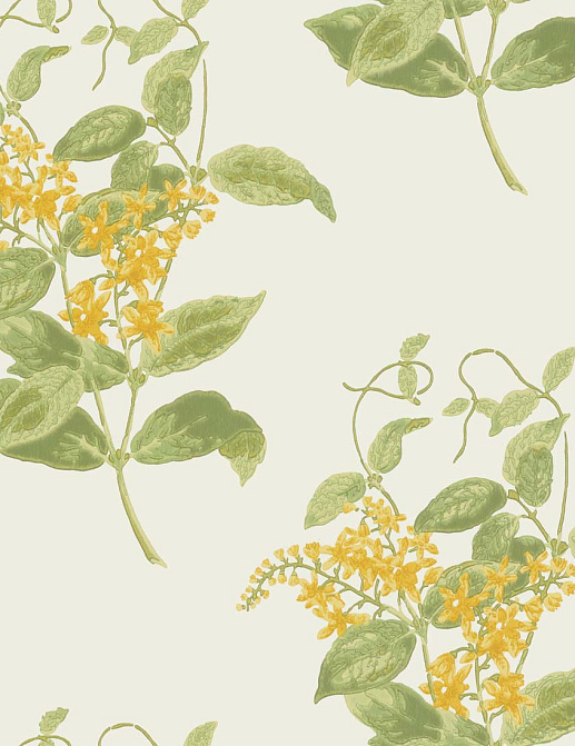 Обои Cole & Son Archive Anthology 100/12059