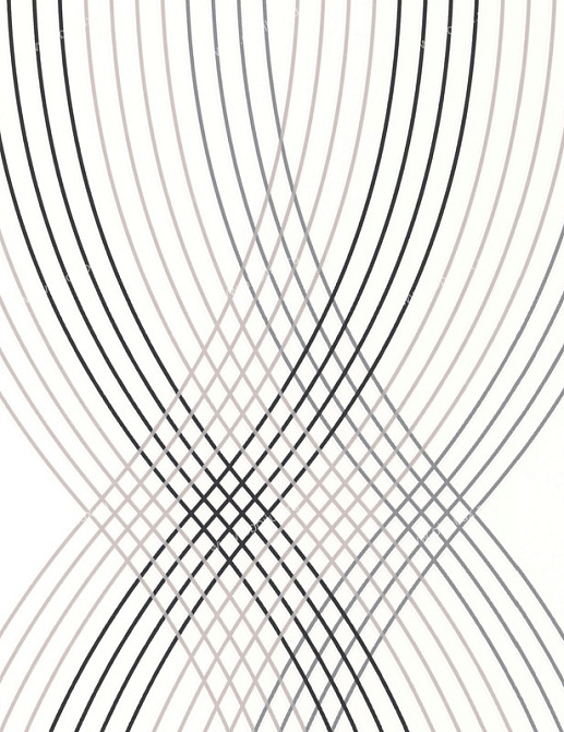 Обои A. S. Creation Black & White 2 255822