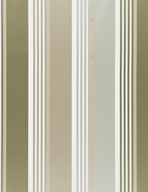 Ткань Designers Guild Fleuve F1932/01