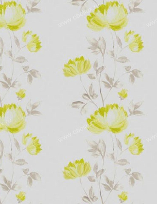 Обои Casadeco Illustration ILL18547130