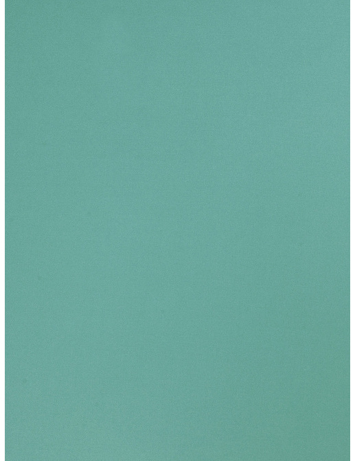 Ткань Trend Multipurpose Sleek Satin Vol.II 02022/Scuba
