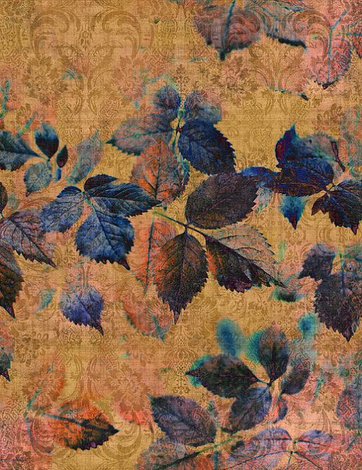 Панно и фотообои A. S. Creation Living Walls - Walls by Patel 2 DD114098