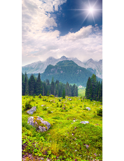 Панно и фотообои Affresco Фрески и фотообои ID13462