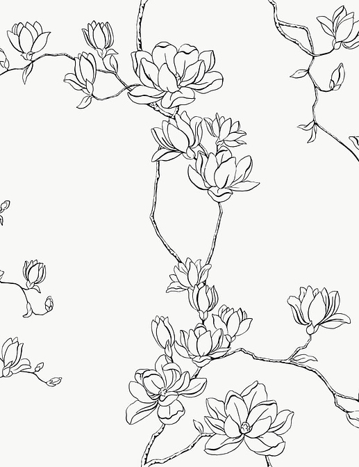 Обои York Magnolia Home Vol. 4 MF4731
