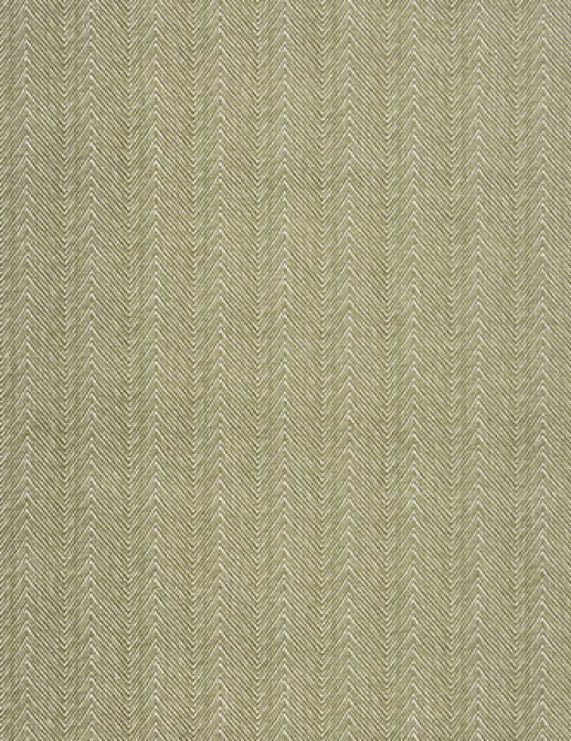 Ткань William Yeoward Aranjasa Weaves FW058/05
