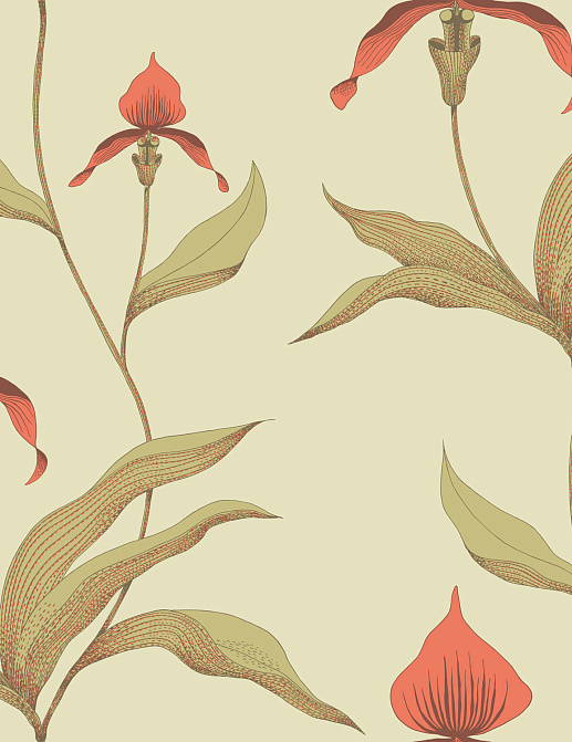 Обои Cole & Son New Contemporary 66/4033