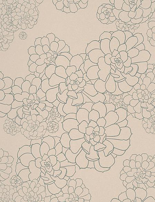 Обои Paint & Paper Library Tresco Aeonium Temple
