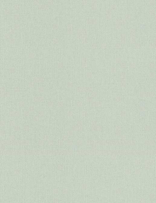Обои Rasch Wall Textures XL Vol3 975536