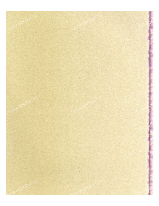 Обои Zoffany Town and Country 310840