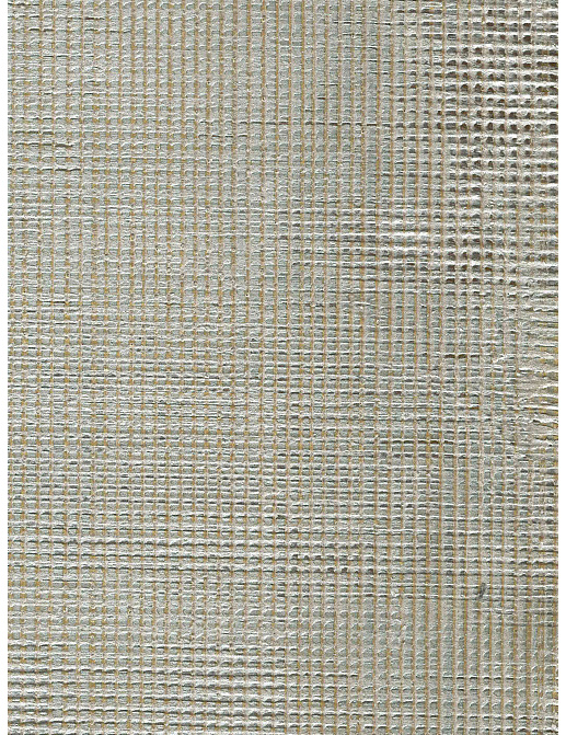 Обои Holland & Sherry Archetype Collection DEWP2095/Kastave Grey Gold