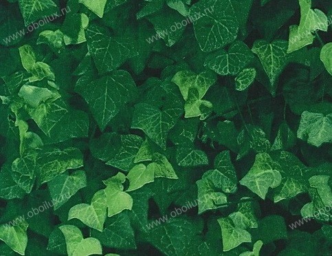 Обои Giardini Phlora & Phauna PH0101