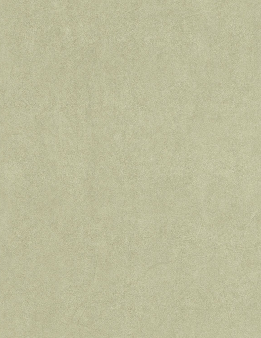Обои Casadeco Cotton Touch COTO82387462