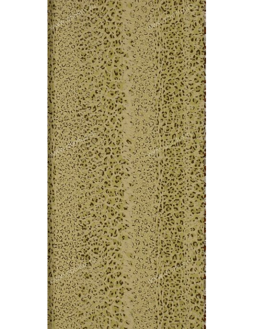 Обои York Natural Instincts NT8972