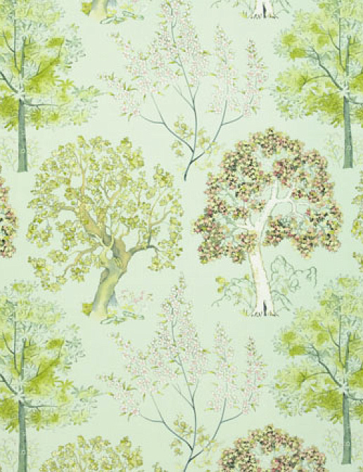 Ткань Designers Guild Rosa chinensis FQ042/02