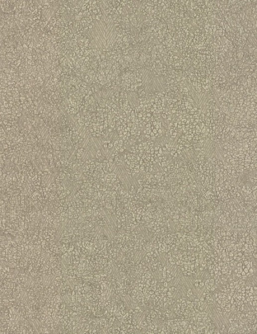 Обои York Elegant Earth (Antonina Vella) OG0508