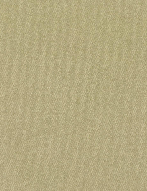 Ткань Loro Piana Doge Velvet AC3018/21