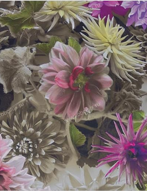 Обои Designers Guild Linnaeus P556/01