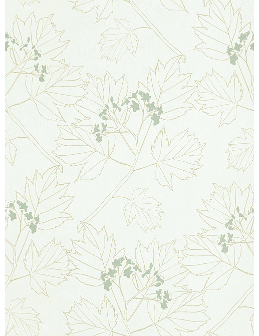 Обои Aquarelle Danehill WP0080303