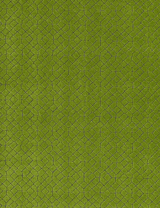 Ткань Designers Guild Canossa FT2026/03