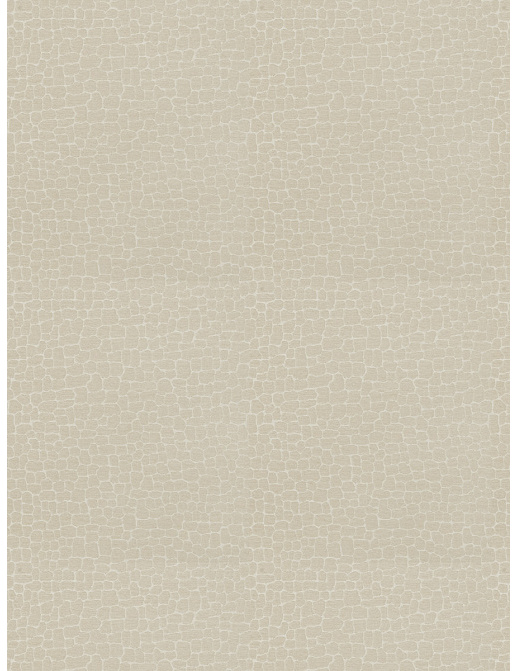 Ткань Fabricut Color Studio Vol.VII Oyster Echo park/Canvas