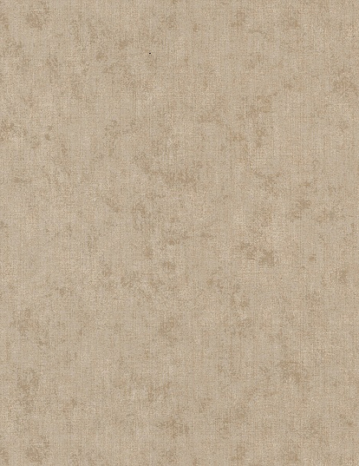 Обои Chivasso Ghost CA8216/020