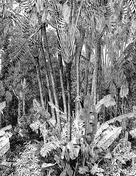 Панно и фотообои Casamance Oxymore 1 77321039