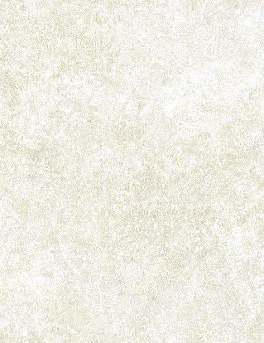 Обои Wallquest Timeless Finishes TF30403