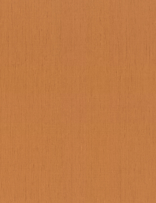 Обои Rasch Indian Style 746099