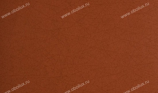 Обои Arte Equators 96205