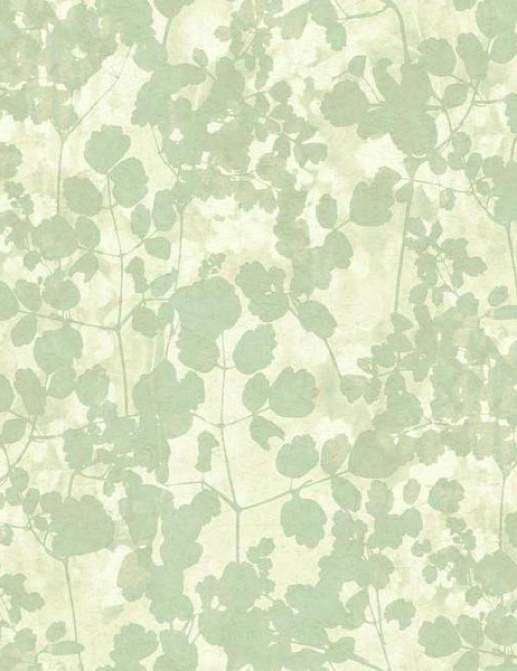 Обои York Candiсe Olson - Botanical Dreams NA0517