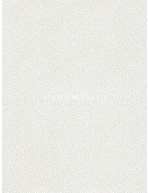 Обои Blue Mountain Black & White BC1581588