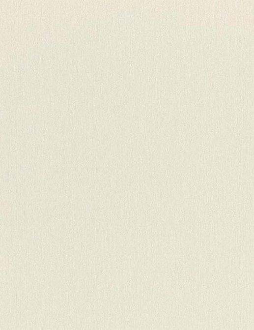 Обои Rasch Настенные структуры. Том 4 / Wall Textures XL Vol. 4 979367