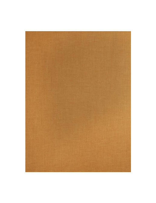 Ткань Stroheim Color Gallery Pumpkin Somerlyn twill/Pumpkin