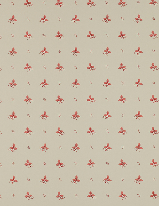 Обои Colefax and Fowler Small Designs 07406-04